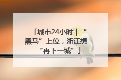 城市24小时｜“黑马”上位，浙江想“再下一城”